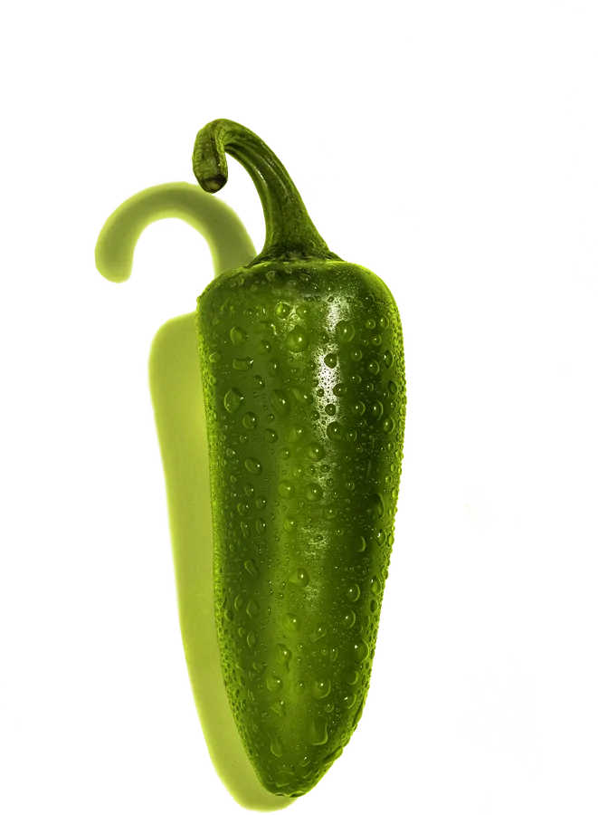 The Jalapeño Chili