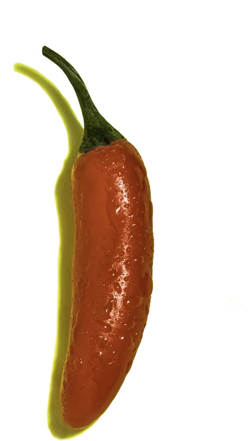 The Serrano Chili